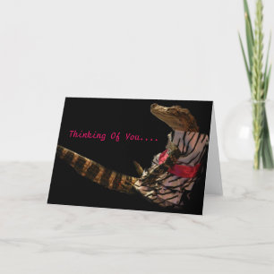 Gator Greetings - Thinking Of You Card