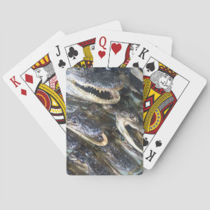 Gator Head Playing Cards