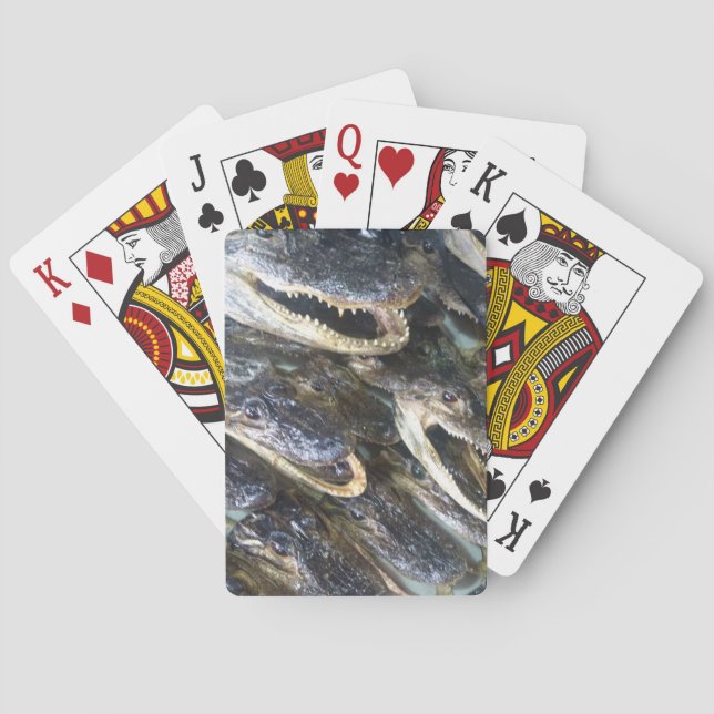 Gator Head Playing Cards (Back)