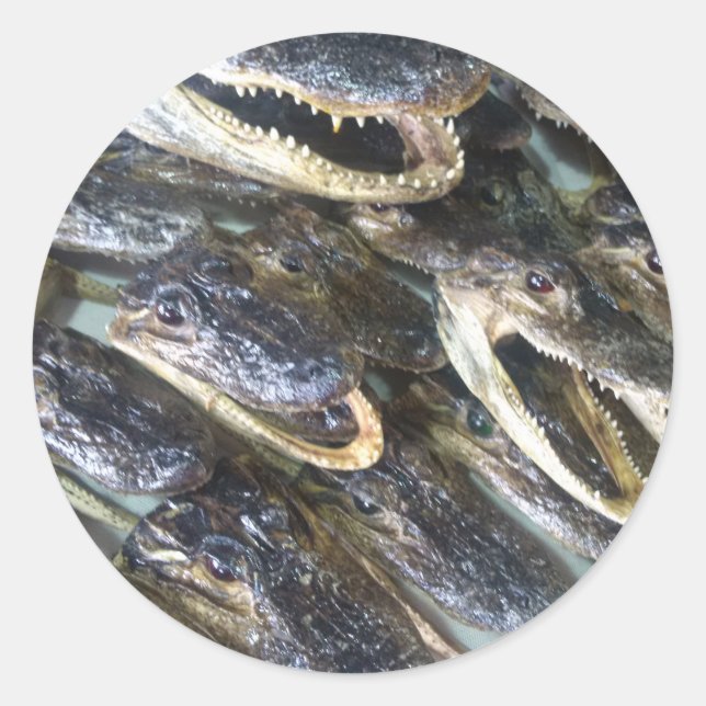 Gator Head Sticker (Front)