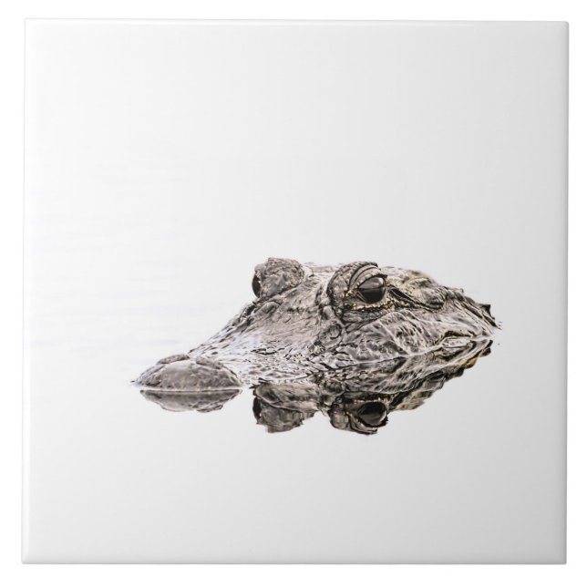 Gator Photo Tile (Front)