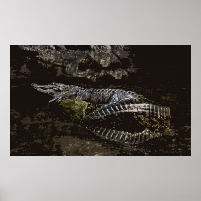 Gator Portrait Poster (Front)