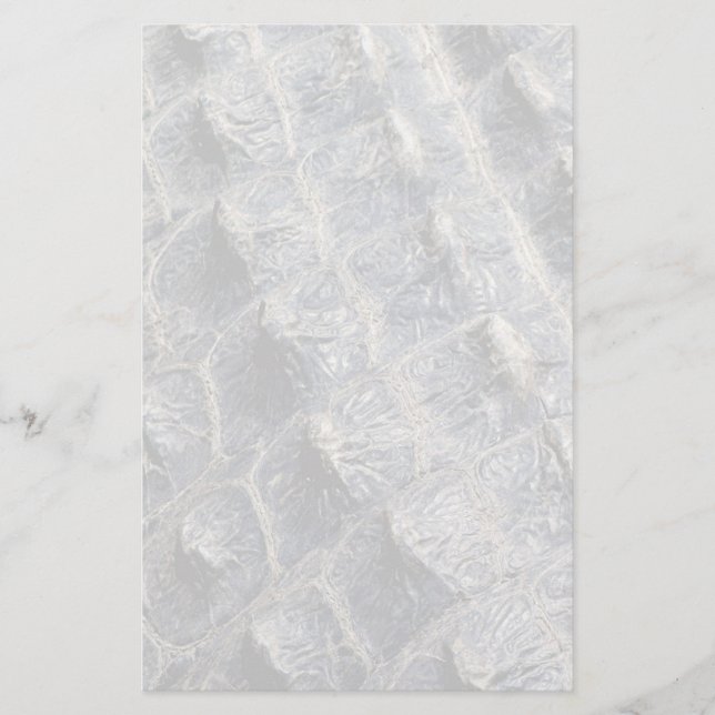 Gator Skin Stationery (Front)