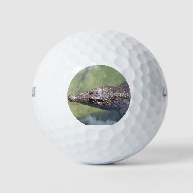 gator swimming golf balls (Front)