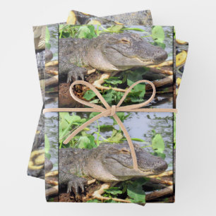 Gator Wrapping Paper Sheets - 3 Design Set