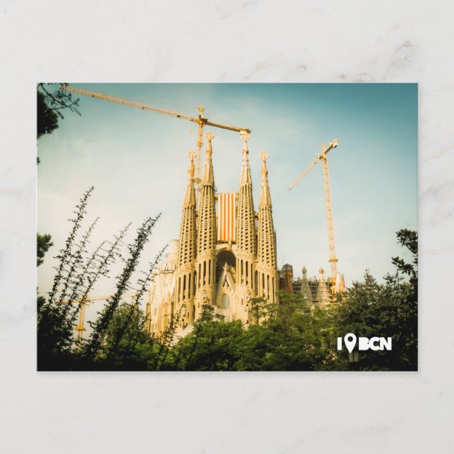 Gaudi's Sagrada Familia with catalonia's flag Postcard (Front)