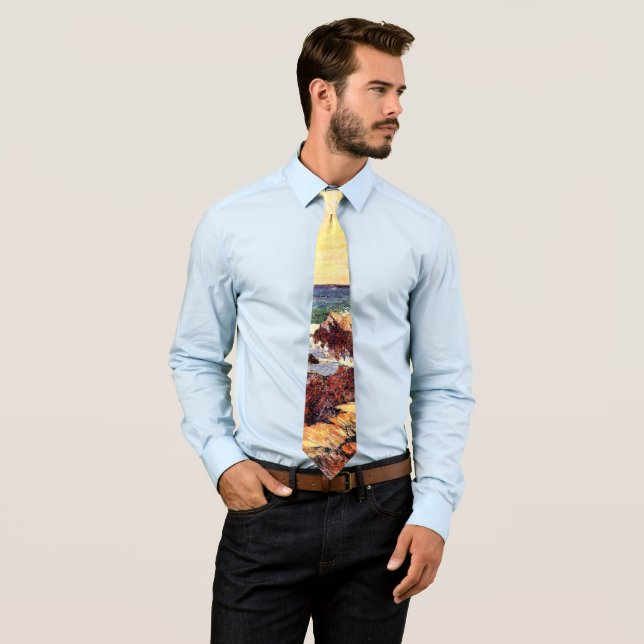 Gauguin - Rocks and Sea, Tie (In Situ)