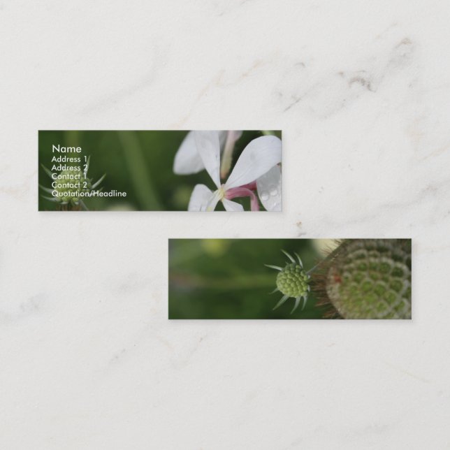 Gaura 2 mini business card (Front/Back)