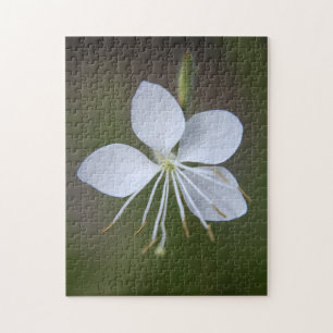 Gaura lindheimeri - Whirling Butterflies Jigsaw Puzzle