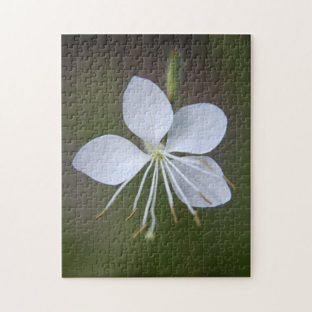 Gaura lindheimeri - Whirling Butterflies Jigsaw Puzzle (Vertical)