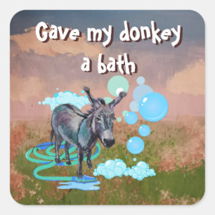gave my donkey a bath square sticker