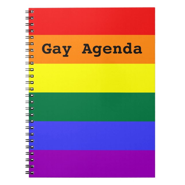 Gay Agenda Rainbow Solid Stripe Notebook (Front)
