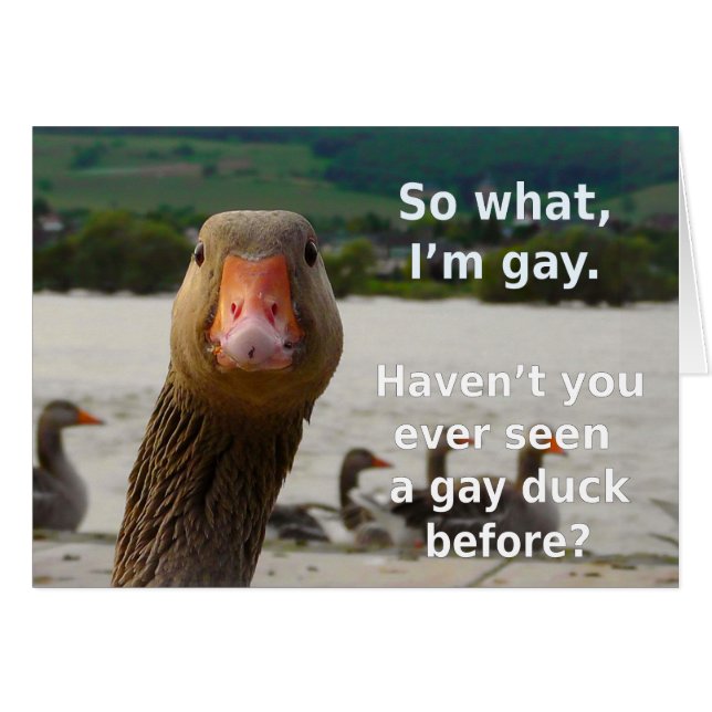 Gay Duck Pride (Front Horizontal)