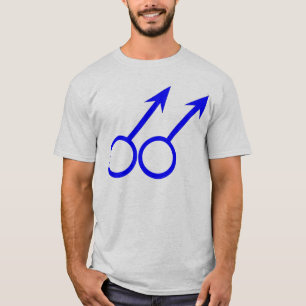 Gay Lovers Ladies T Shirt