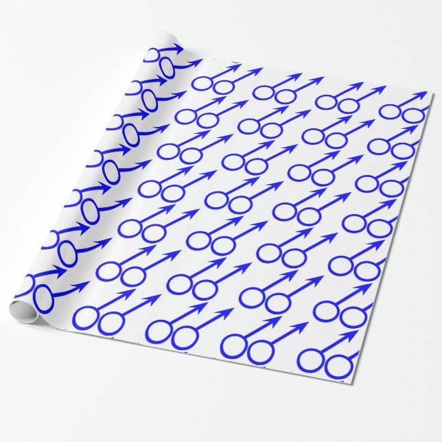 Gay Lovers Wrapping Paper (Unrolled)