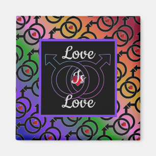 Gay Marriage Love Is Love Rainbow Magnet