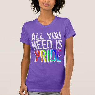 Gay pride Colours All you Need is Pride T-Shirt