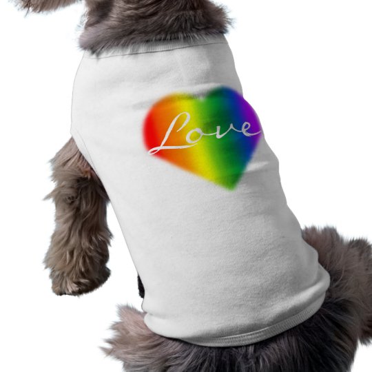 LGBT Gay Pride Lovebird Samsung S10 Case
