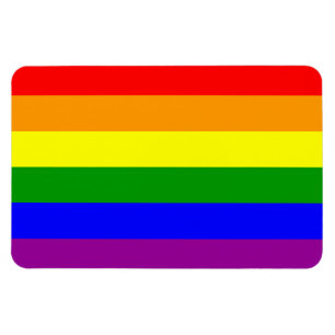 Gay Pride Flag / Rainbow Flag Magnet