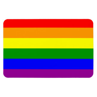 Gay Pride Flag / Rainbow Flag Magnet