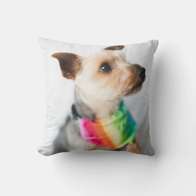 Gay Pride Rainbow Dog | Yorkshire Terrier Cushion (Front)