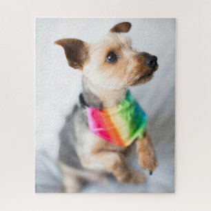 Gay Pride Rainbow Dog Yorkshire Terrier Jigsaw Puzzle