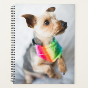 Gay Pride Rainbow Dog   Yorkshire Terrier Planner