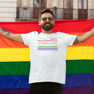 Gay Pride Rainbow Pinstripe Mens White T-Shirt