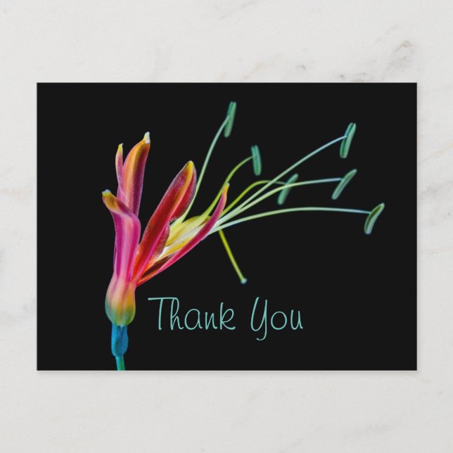 Gay Rainbow colours Floral Thank You Postcard (Front)