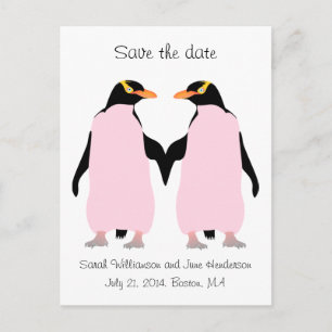 Gay Save the date, pink penguins Announcement Postcard