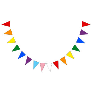 Gay & Trans Pride Pennant Bunting Banner