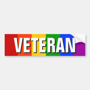 GAY VETERAN BUMPER STICKER
