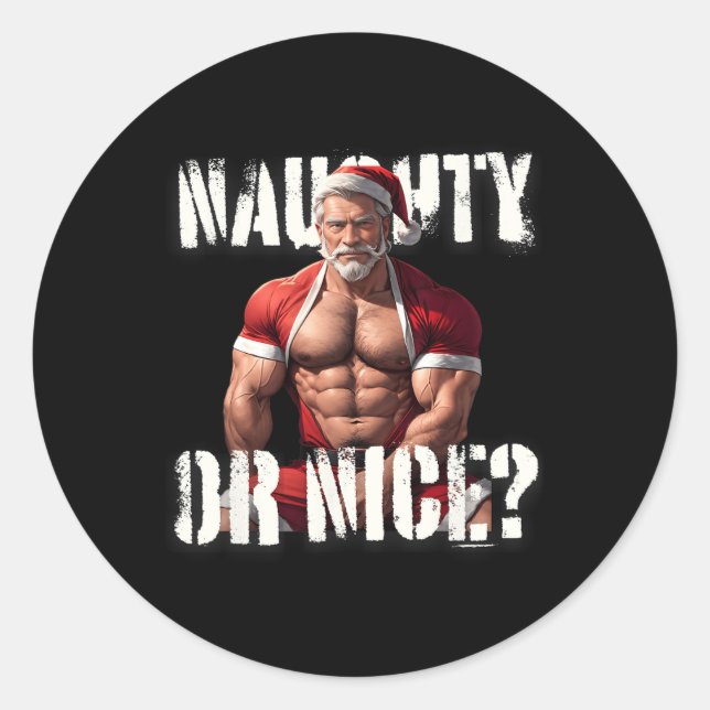 Gay Xmas Muscle Daddy Bear Nice Santa Pride Lgbtq  Classic Round Sticker (Front)