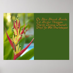 Gayatri mantra poster