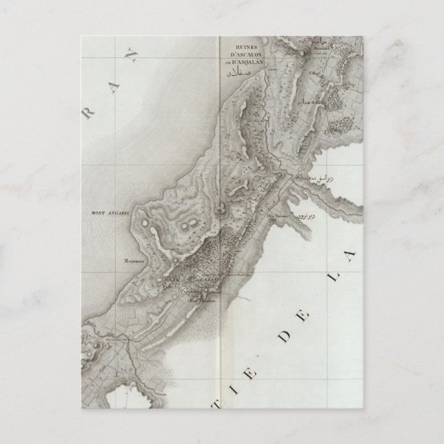 Gaza, Israel Postcard (Front)