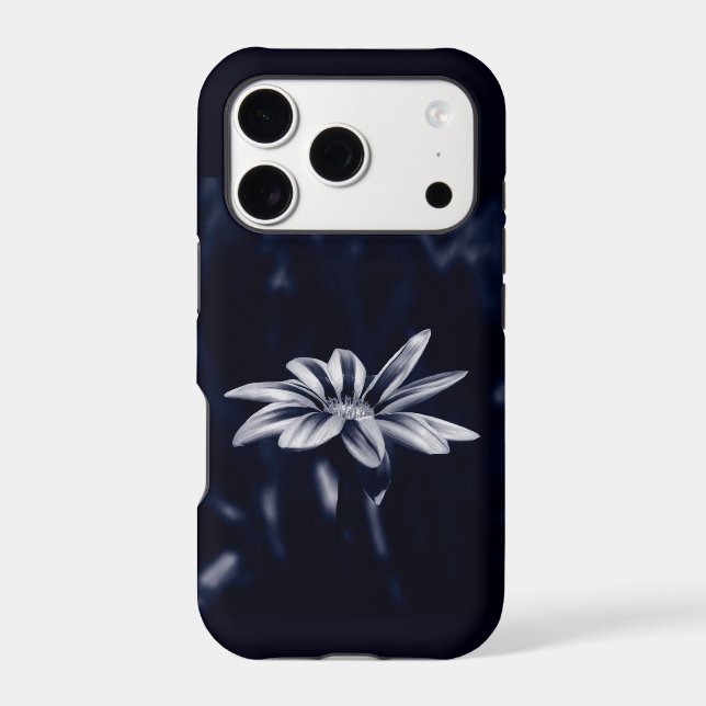 gazania (Back)