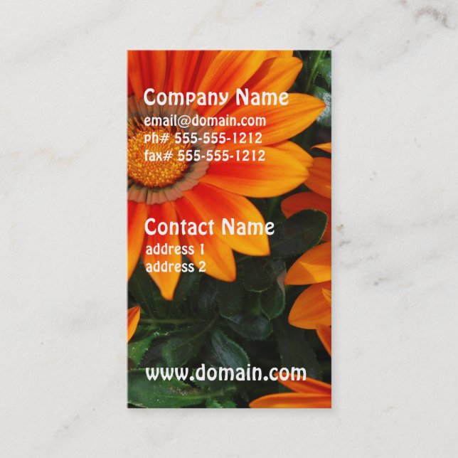 Gazania Business Cards (Front)