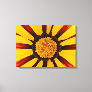 Gazania Canvas Print