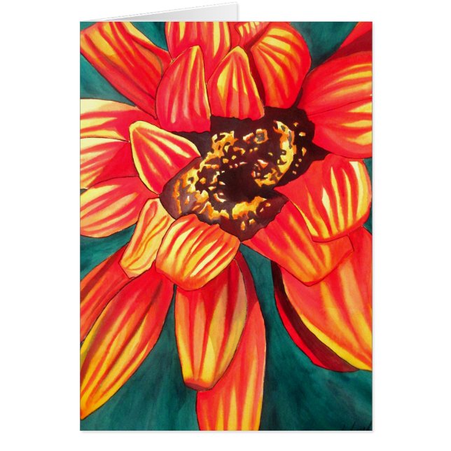 Gazania desert flower art by Sacha Grossel (Front)