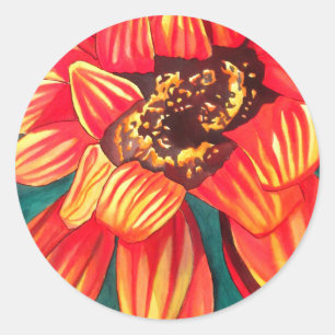 Gazania desert flower art by Sacha Grossel Classic Round Sticker