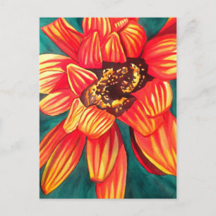Gazania desert flower art by Sacha Grossel Postcard