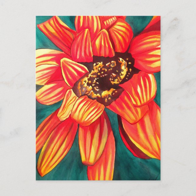 Gazania desert flower art by Sacha Grossel Postcard (Front)