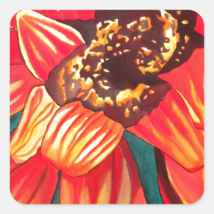 Gazania desert flower art by Sacha Grossel Square Sticker