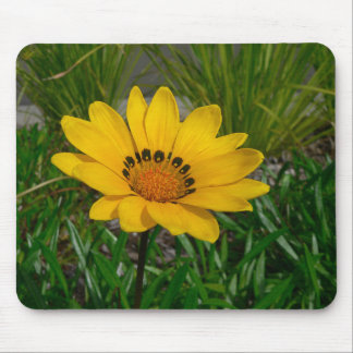 Gazania Flower Mouse Mat