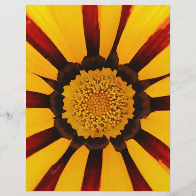 GAZANIA FLYER (Front)