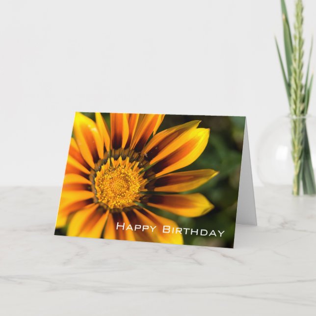 Gazania | Happy Birthday Card (Front)