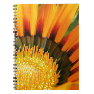 Gazania Notebook