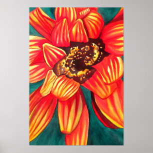 Gazania South African flower watercolour art Poster