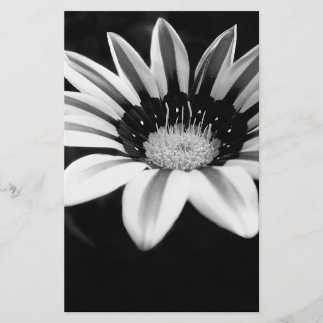 Gazania Stationery (Front)