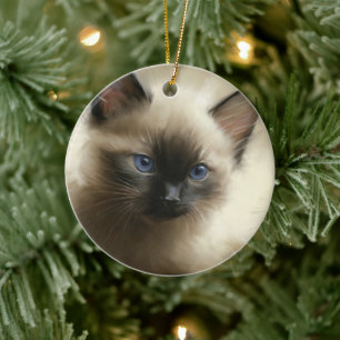 Gaze Of Innocence Siamese Kitten Portrait Ceramic Tree Decoration
